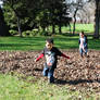 Running in the Leaves