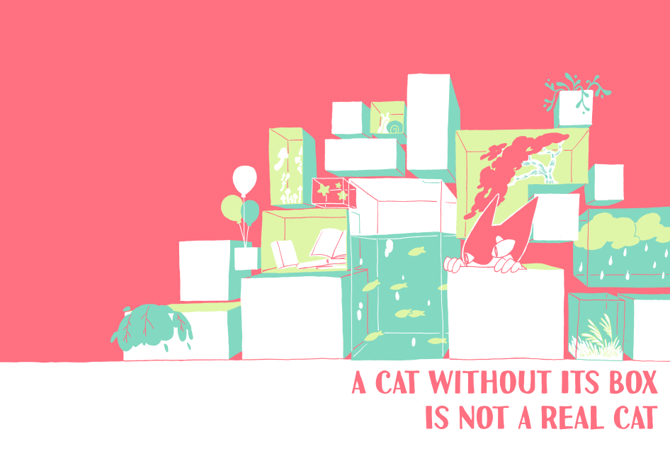 A cat without its box is not a real cat