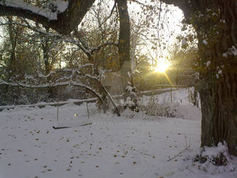 Swing in snow