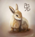 Rabbit Year by cicakkia