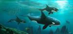Let's keep swimming by cicakkia