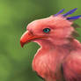 Biyomon