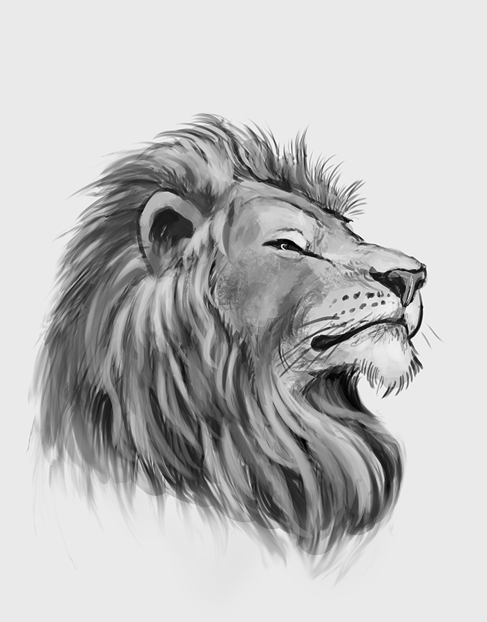 lion sketch by cicakkia on DeviantArt