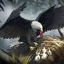 Feeding