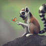 Butterfly and Lemur