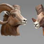 Ram digital color sketch