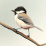 Doodle bird