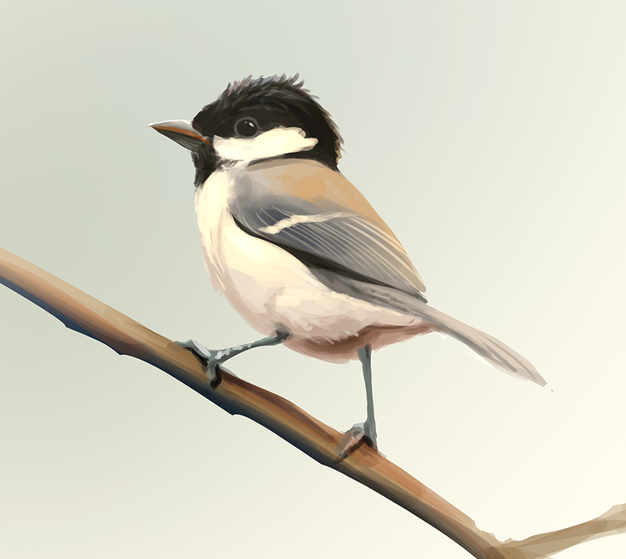 Doodle bird