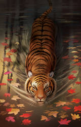 Tiger in the pond