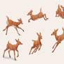 Fawn