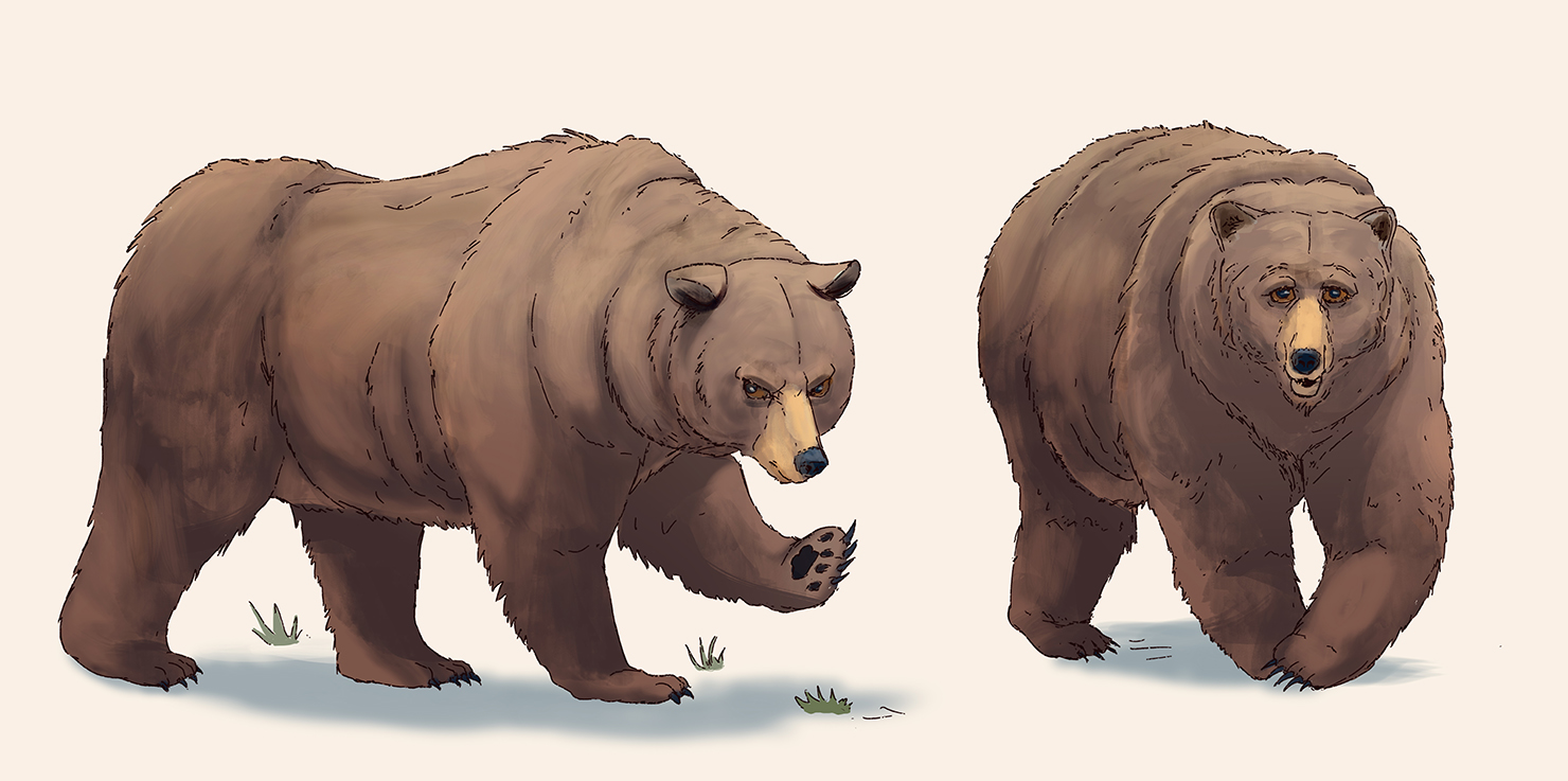 Grizzly Bear