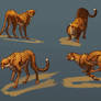 Cheetah