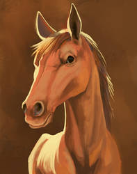 Horse color study