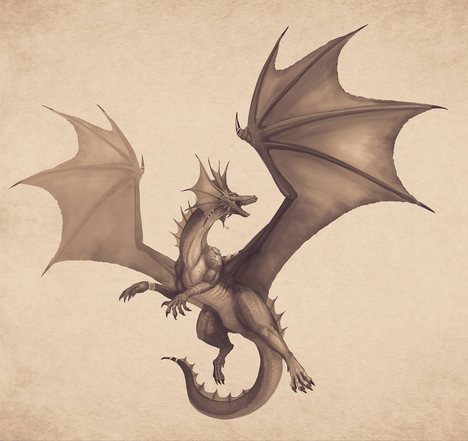 Dragon Sketch commission monochrome version
