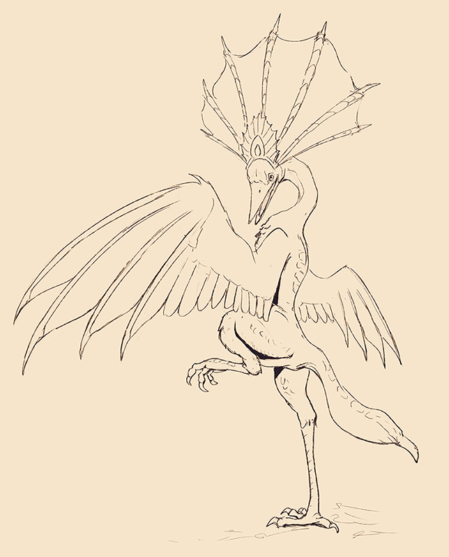 Aknosom Sketch