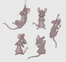 Little Mouse