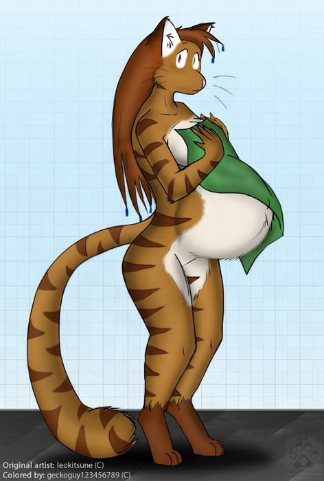 Preg feline