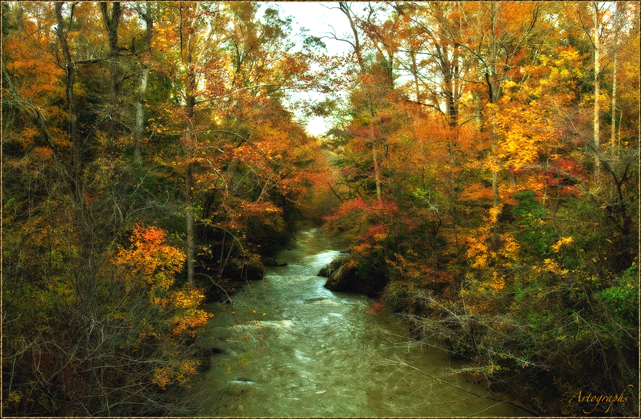 FROM BORDEN CREEK BRIDGE