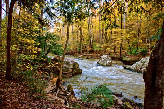 UPSTREAM FROM BORDEN BRIDGE