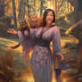 cat, cat, burning ray, in the forest of the day