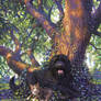 Lying under the tree