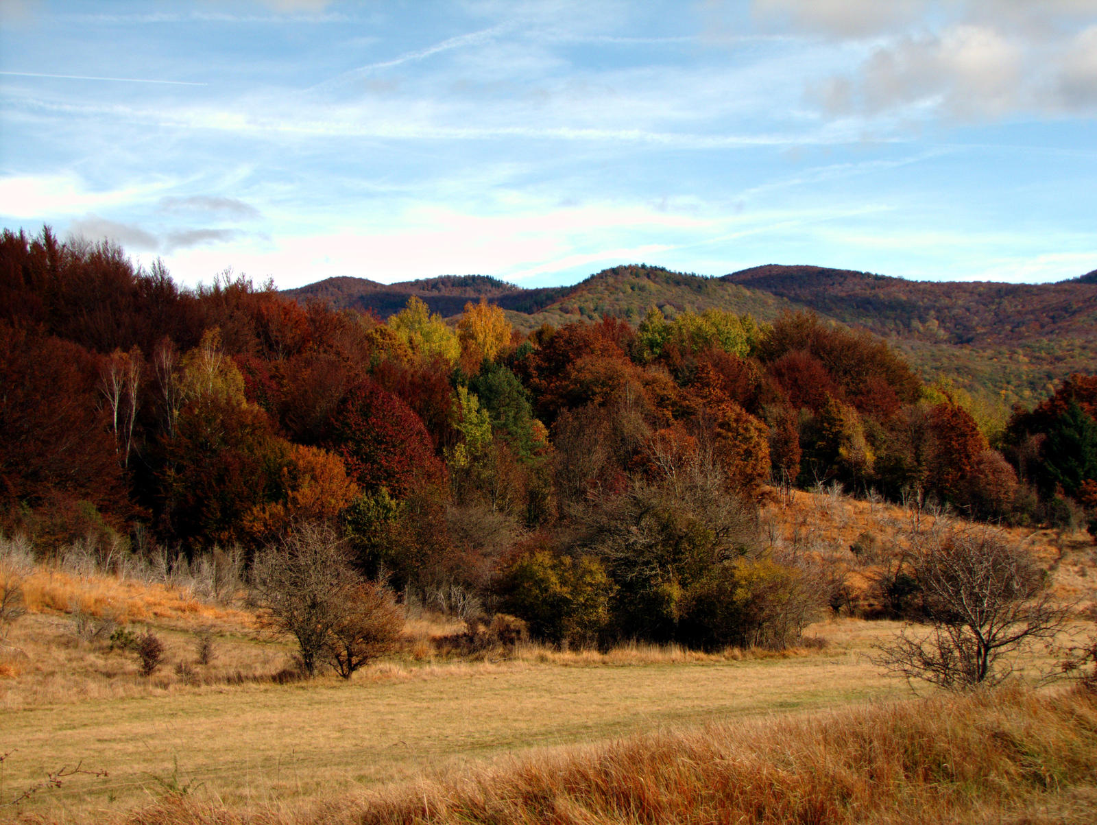 Colours of the fall