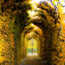 Autumn Corridor