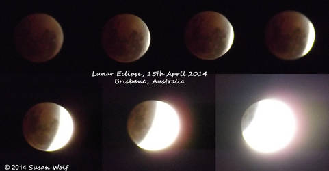 Blood Moon from Brisbane