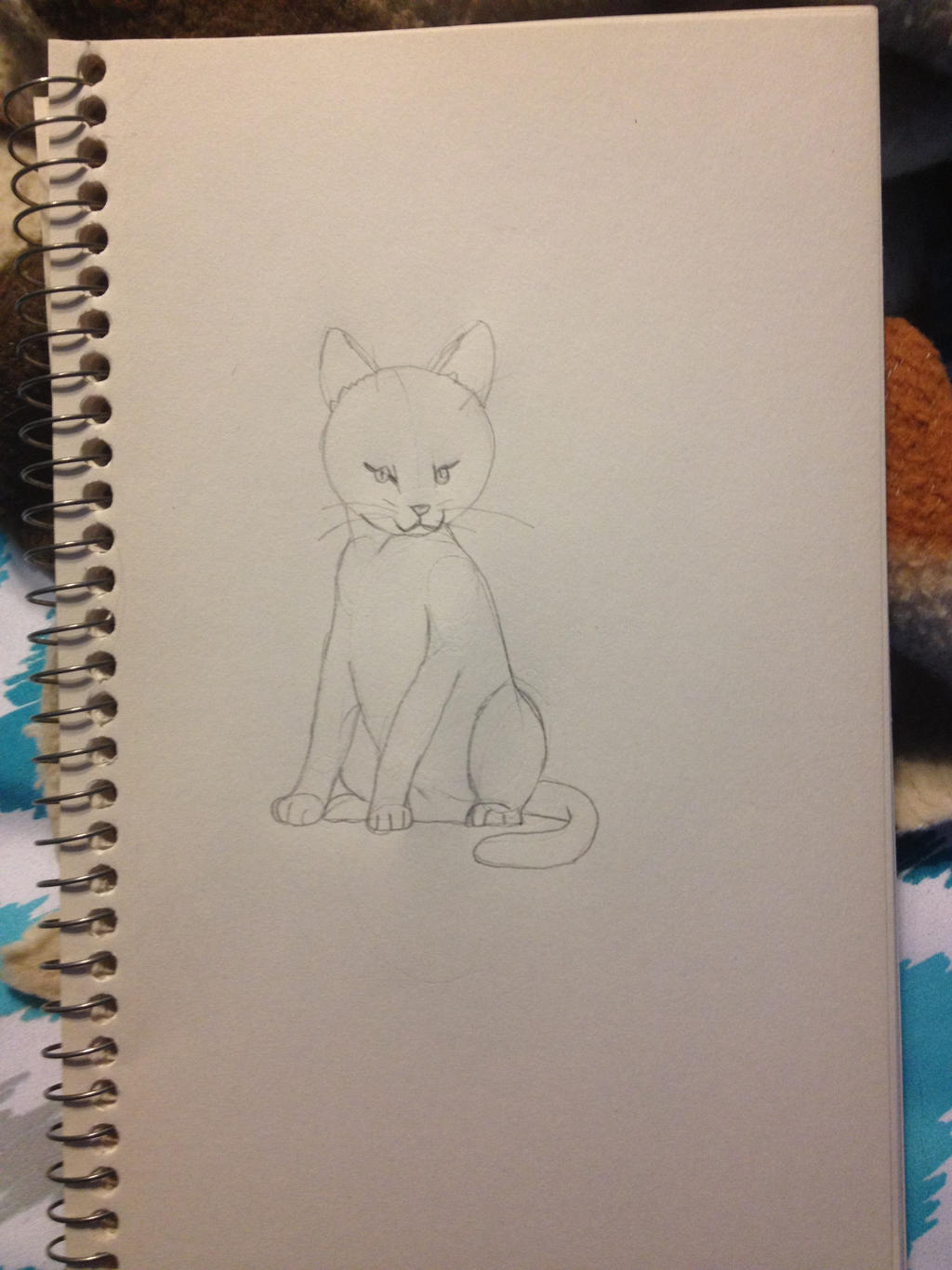 Sketch of a cat