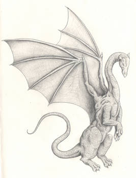 random dragon IV