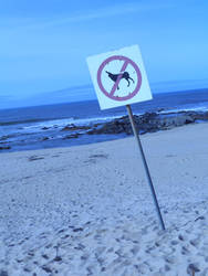 beatiful beach in winter