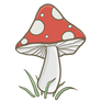 red fairy mushroom