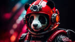 Panda Astronomico by acg3fly
