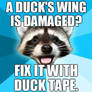 Lame Pun Coon - Duck Tape