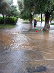 Flash Flooded UNLV 2 by INF3CT3D-D3M0N