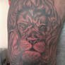 King Leo Tattoo