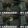 The Cabbage Merchant