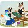 Rubbing Sheila Dingo's Feet / Paws