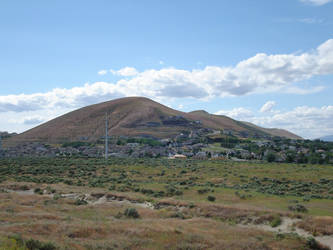 Sagebrush Meets Suburbs