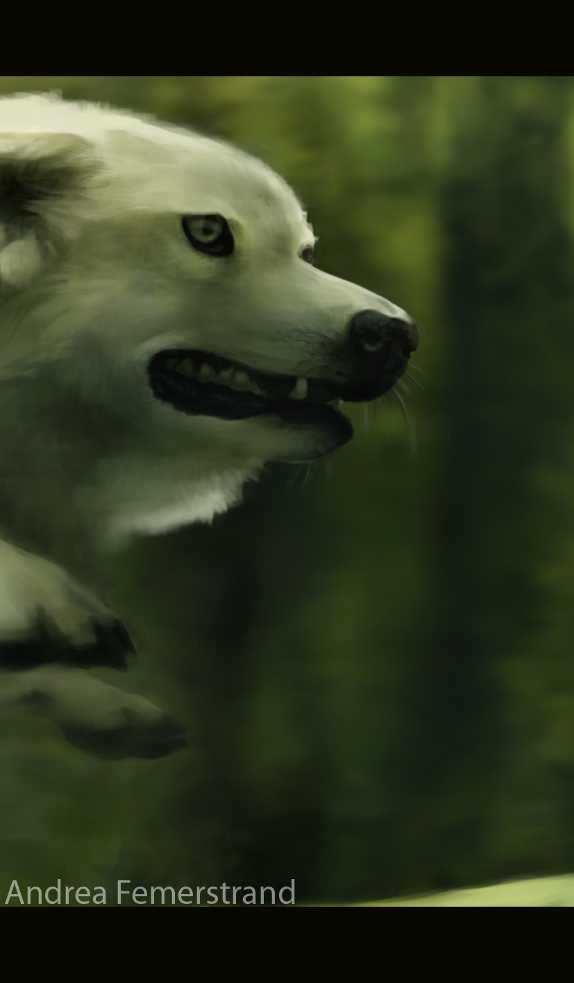 Fanart WIP- Mononoke teaser