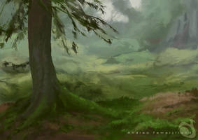forest study