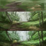 Steps of landscape studies 091