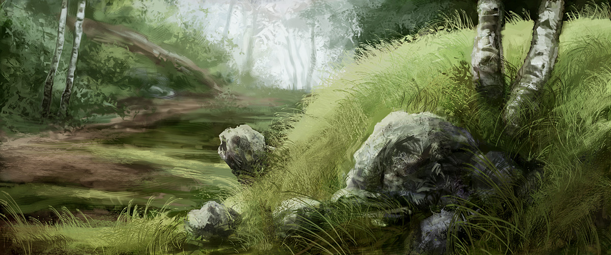 Landscape study 091229