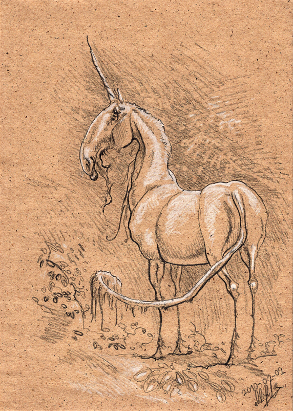 Unicorn drawing