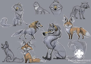 Character desings: foxes and wolves