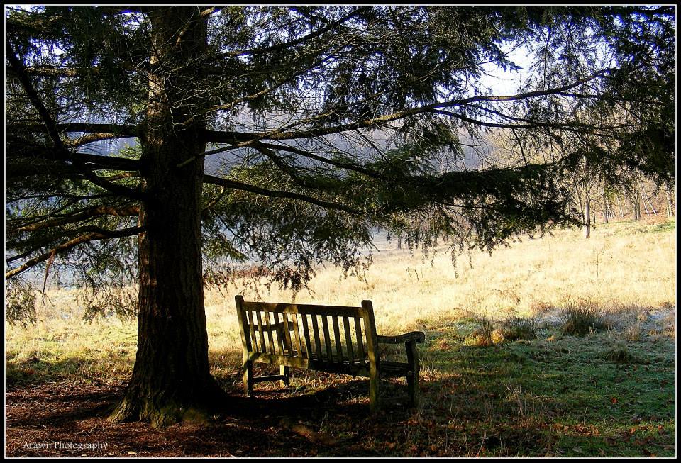 Meditation