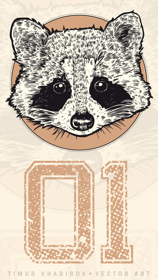 55 racoon