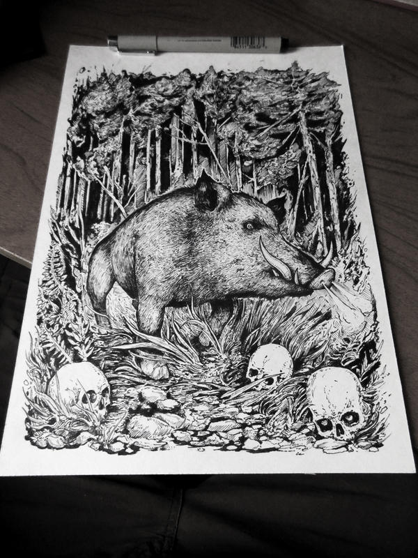 Flying Razorback Drawing Razorback by TimurKhabirov on DeviantArt