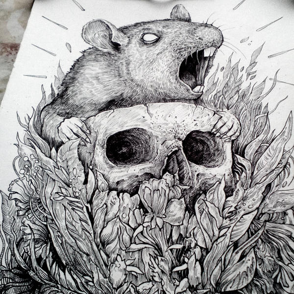 Rat Deviantart Rat by TimurKhabirov on DeviantArt
