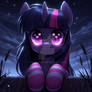 Twilight sparkle with socks